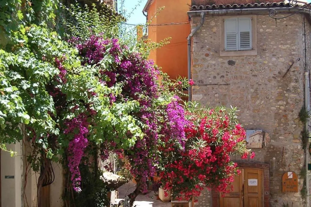 La Barrade - Atypical House Villa Cagnes-sur-Mer 0*,  France